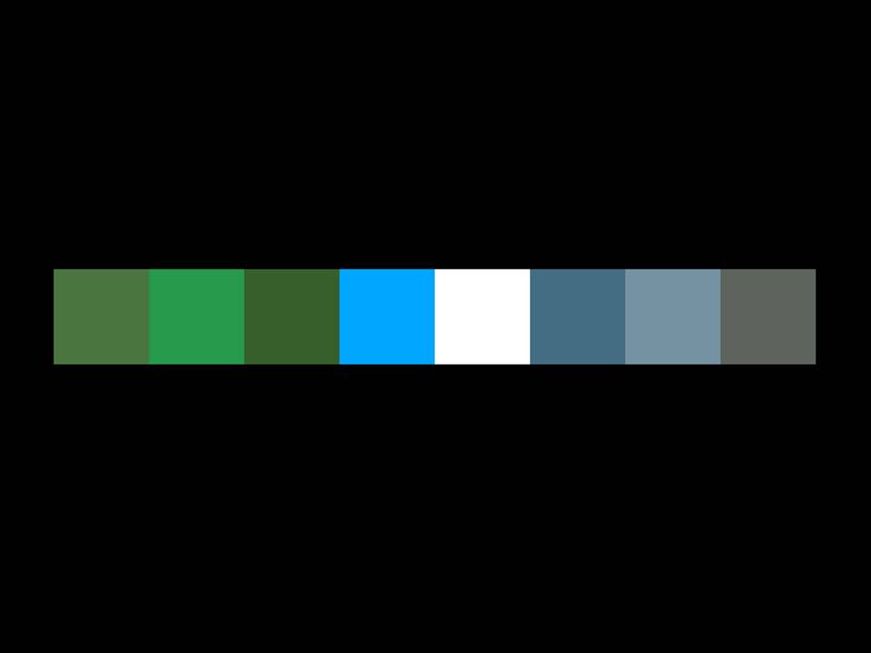 The Color of Palo Alto