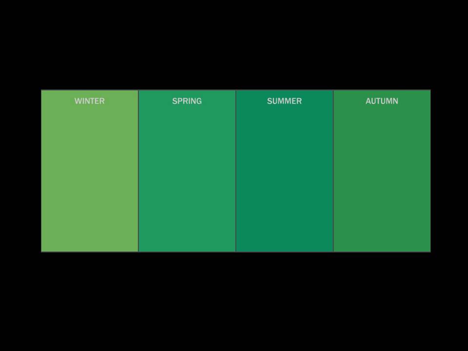 The Color of Palo Alto
